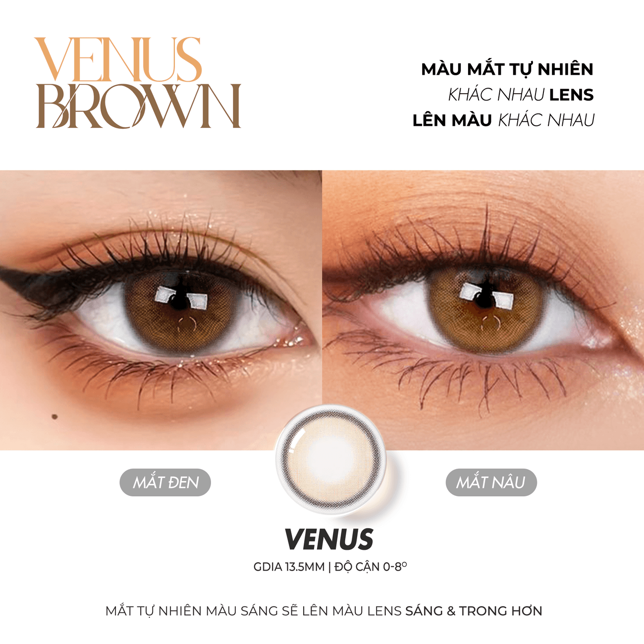 Kính áp tròng Silicone Hydrogel Venus Brown - 7