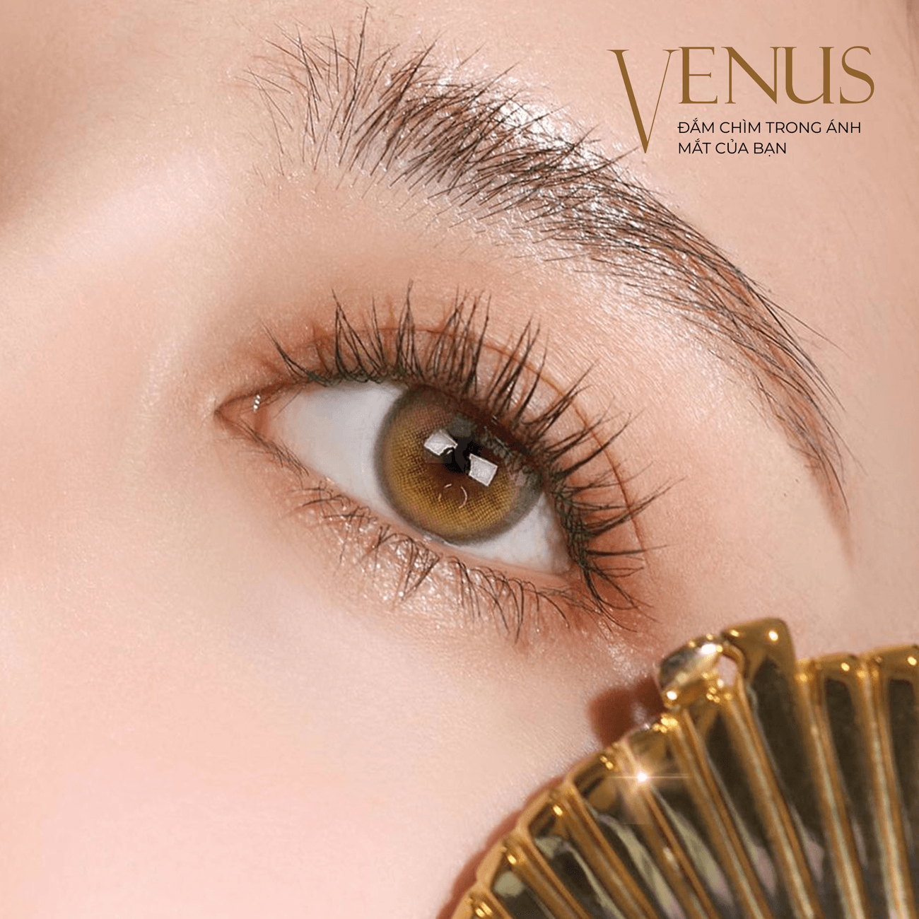 Kính áp tròng Silicone Hydrogel Venus Brown - 2